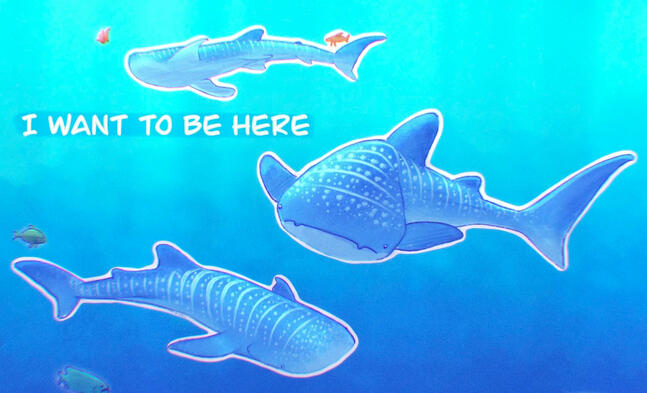 Whale shark dream